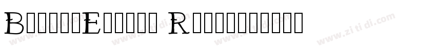 BarelyEnough Regular字体转换